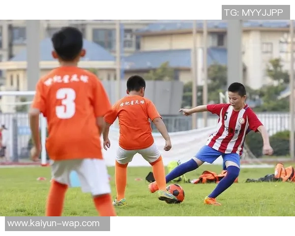 安徽庐江足球文化崛起:球星助力地方足球发展与青训系统建设 安徽庐江足球文化崛起:球星助力地方足球发展与青训系统建设